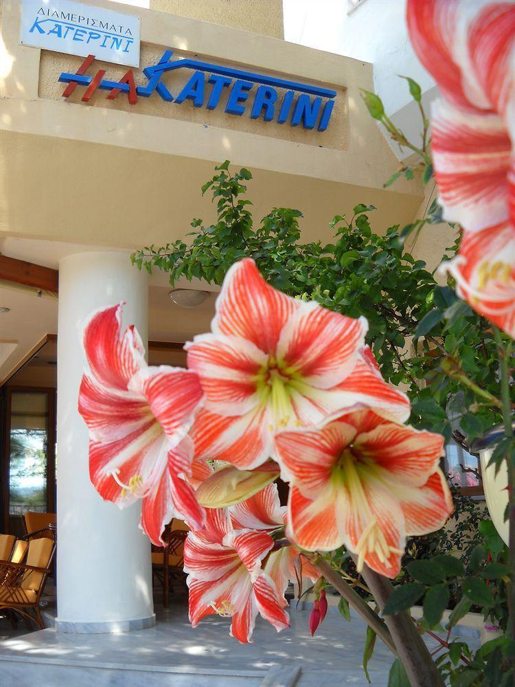 Katerini Apartments Hotel Platanes  Exterior photo